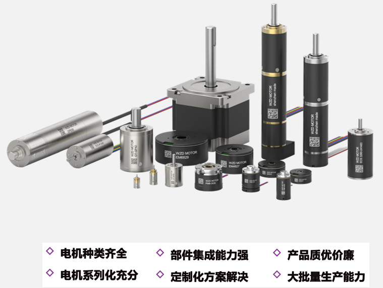 人形机器人电机_灵巧手空心杯电机定制-德赢·vwin体育电机 人形机器人电机_灵巧手空心杯电机定制-德赢·vwin体育电机